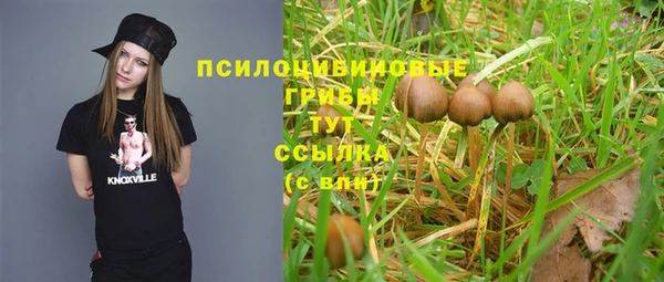 а пвп мука Абдулино