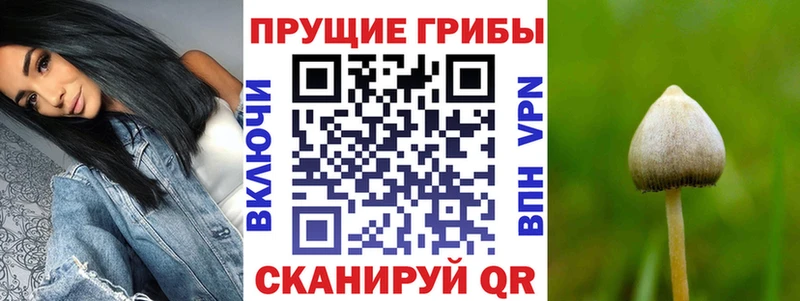 Галлюциногенные грибы Cubensis  магазин продажи наркотиков  Фрязино 